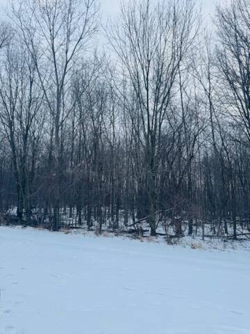 Grand Blanc Twp, MI 48439,66 Hickory Trail