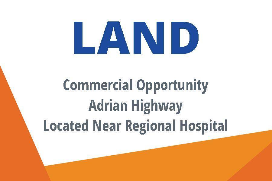 Raisin Twp, MI 49221,4571 N Adrian Highway