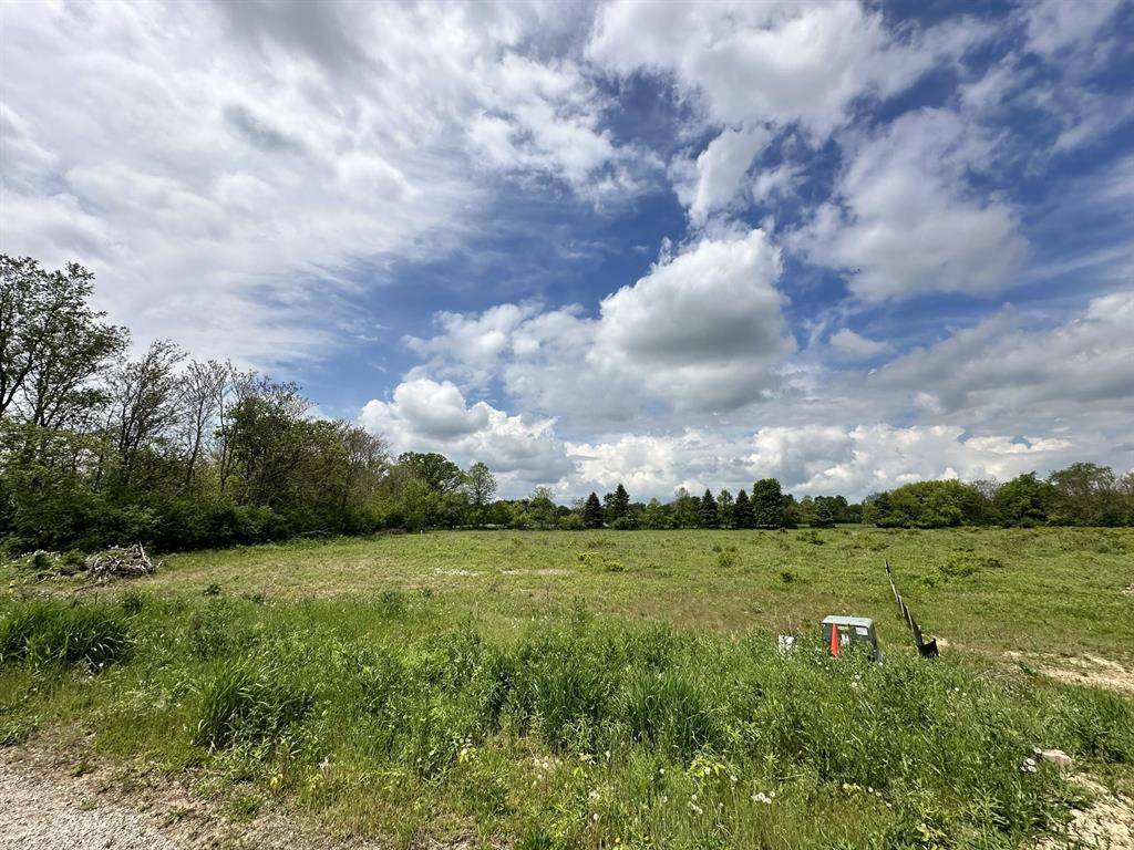 Scio Twp, MI 48103,924 Serenity Way Way