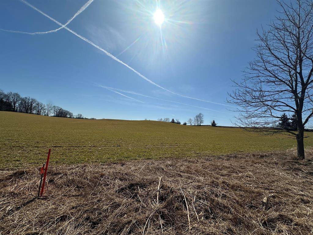 Saline Twp, MI 48176,0 Braun Road