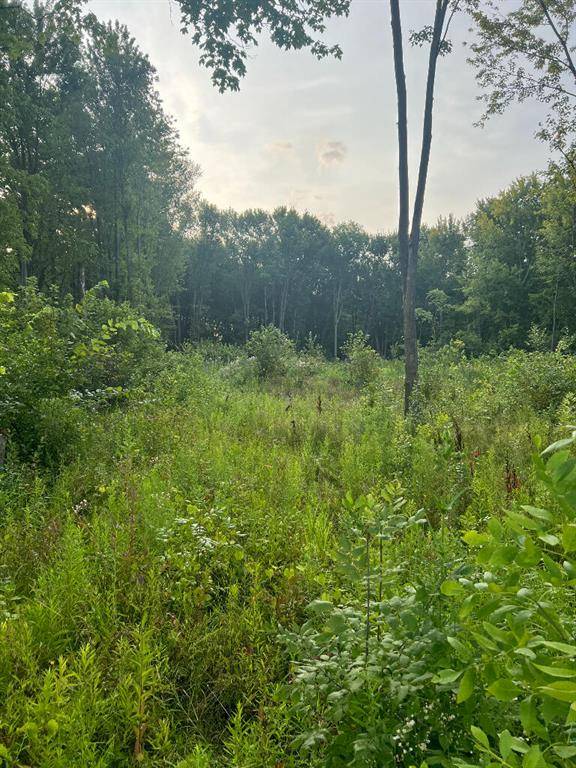 Chesterfield Twp, MI 48047,51760 S Foster Road