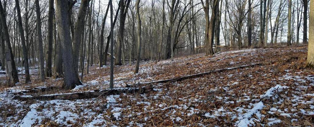 Lyndon Twp, MI 48118,856 Greystone Drive Modifier: Unit 4