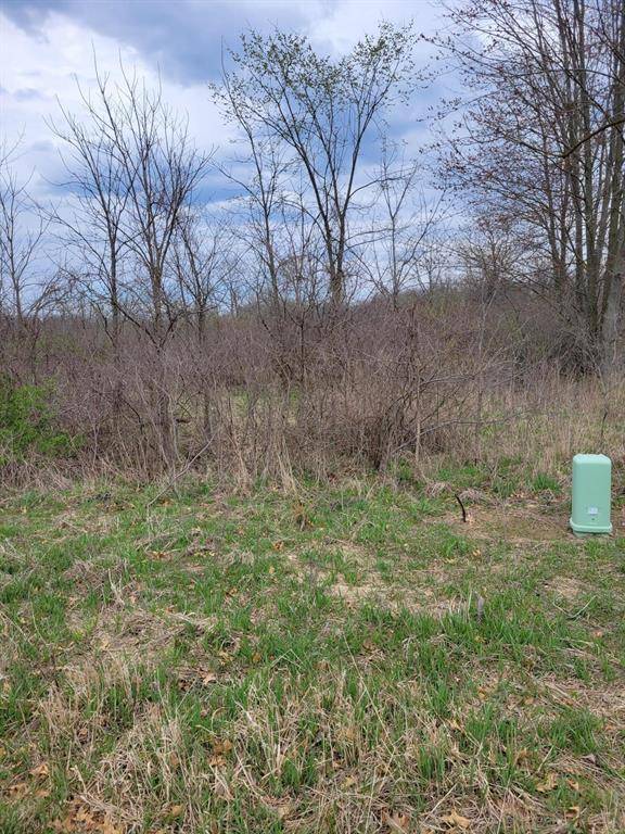 Freedom Twp, MI 48103,0 Rentz Road