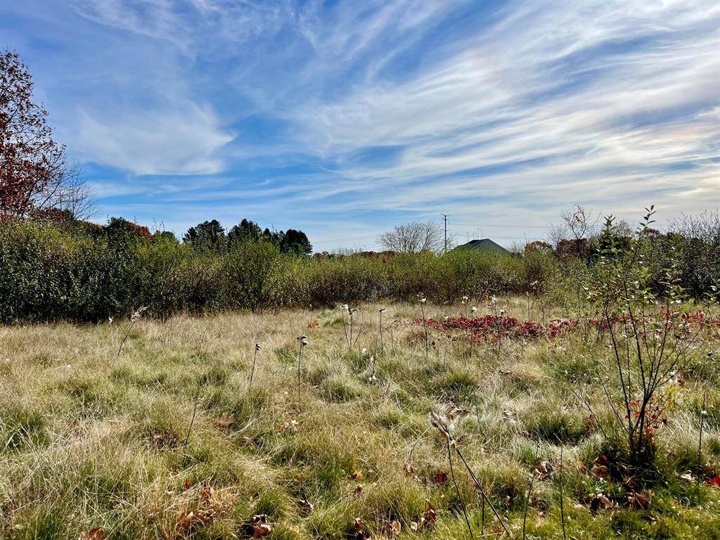 Putnam Twp, MI 48169,Outback Trail 6