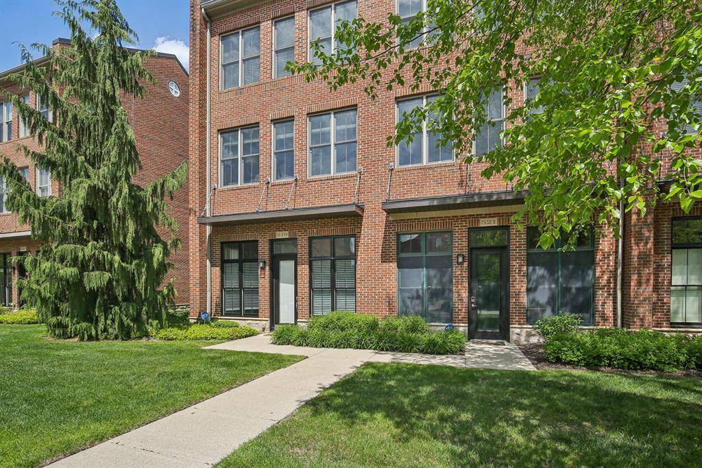 Birmingham, MI 48009,519 Lewis Street