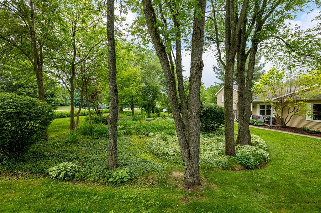 Dexter Twp, MI 48130,9177 Horseshoe Bend