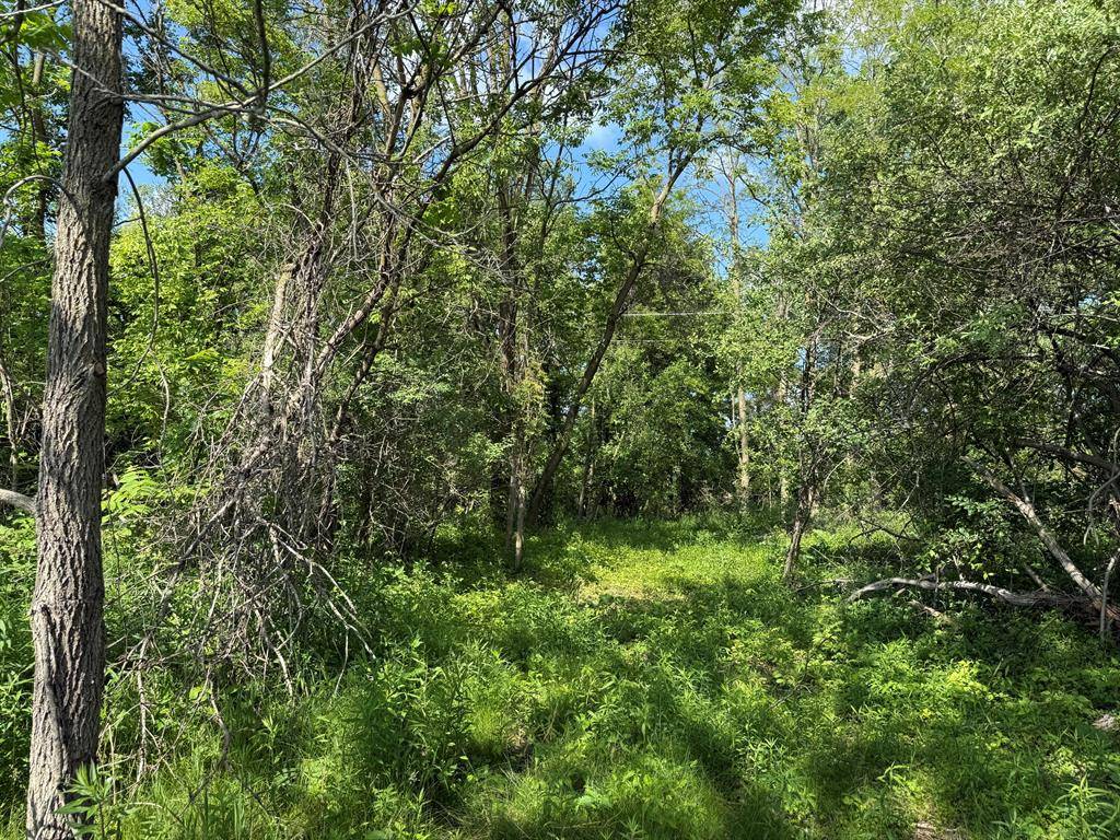 Northfield Twp, MI 48178,0 Dixboro Road