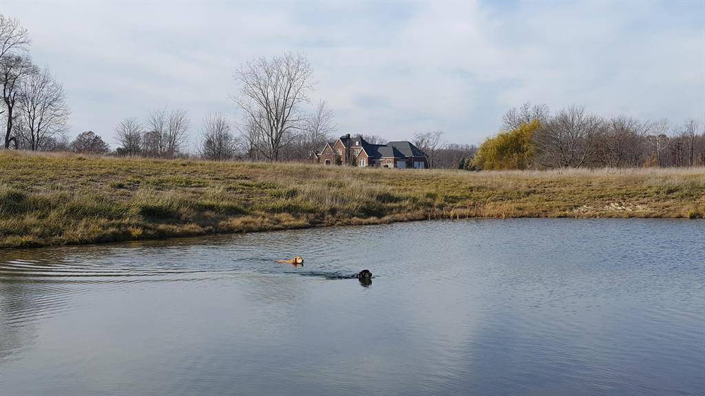 Lyndon Twp, MI 48118,580 Greystone Drive Lot 2e