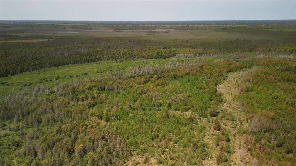 Mueller Twp, MI 49840,609ABSEC19T43NR13WS1/2OFSE1/4