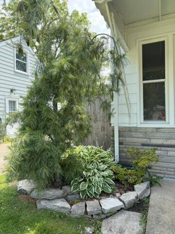 St. Clair Shores, MI 48080,22026 Alger Street