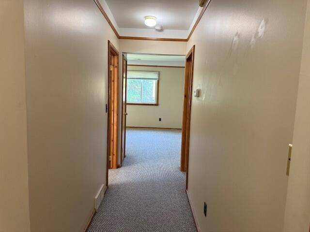 Wyandotte, MI 48192,466 Elm Street