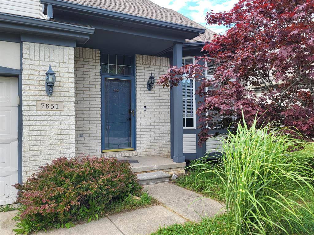 Ypsilanti Twp, MI 48197,7851 Thornhill Drive
