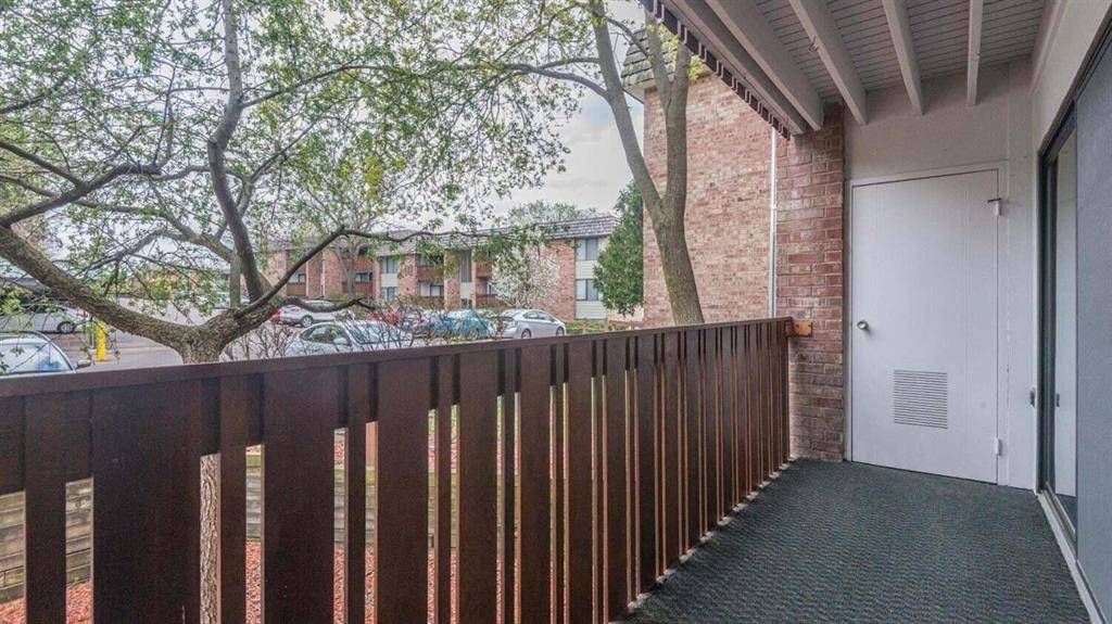 Ann Arbor, MI 48103,2124 Pauline Boulevard 206