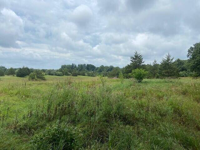 Grass Lake Twp, MI 49240,0 Phal Road