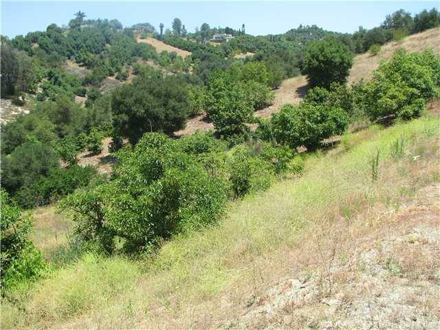 Fallbrook, CA 92028,0 Country Club Lane