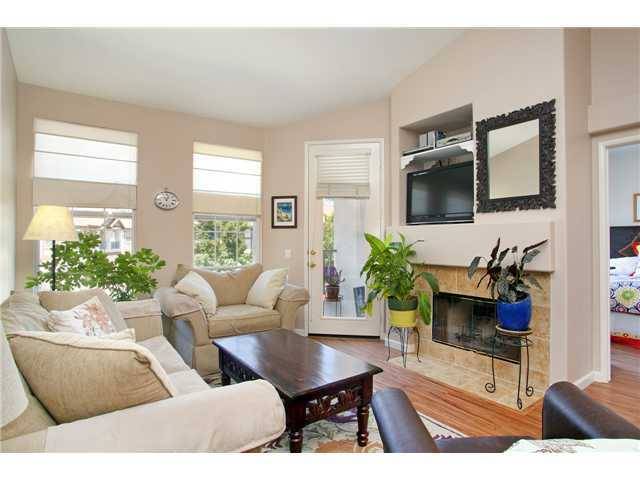 Encinitas, CA 92024,581 Silver Berry Place