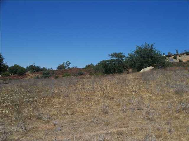 Jamul, CA 91935,20535 Oregano Way