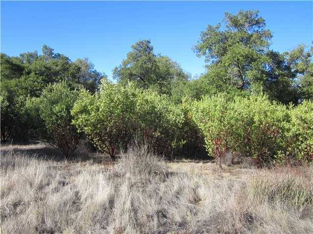 Julian, CA 92036,0 Calico Ranch Road