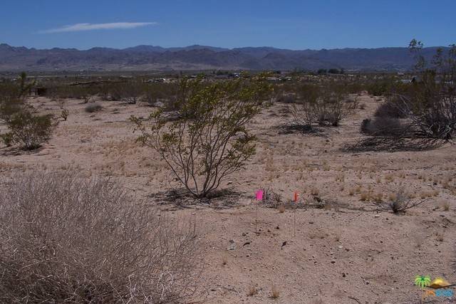 Joshua Tree, CA 92252,0 CAMPANULA ST