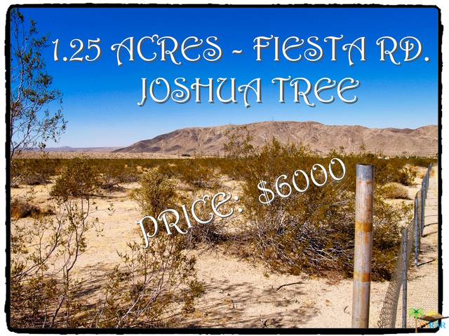 Joshua Tree, CA 92252,0 Fiesta RD