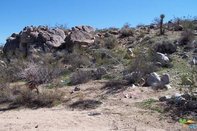 Yucca Valley, CA 92284,0 Olympic RD