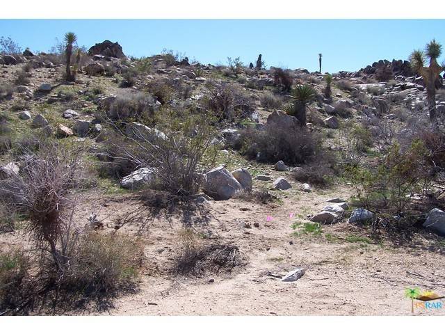 Yucca Valley, CA 92284,0 Olympic RD