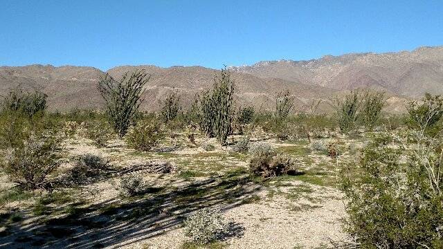 Borrego Springs, CA 92004,228 Borrego Springs Rd