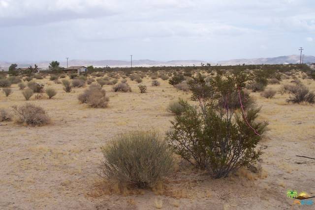 Joshua Tree, CA 92252,0 Gold Nugget RD