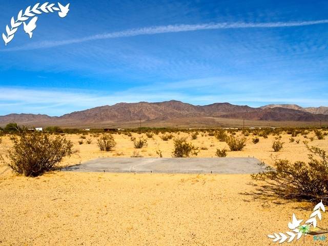 29 Palms, CA 92277,0 CAREY RD