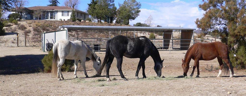 Warner Springs, CA 92086,37560 Cruces Drive