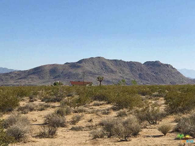 Joshua Tree, CA 92252,0 Sunburst