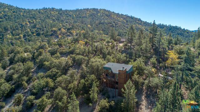 Idyllwild, CA 92549,54685 CREST DR