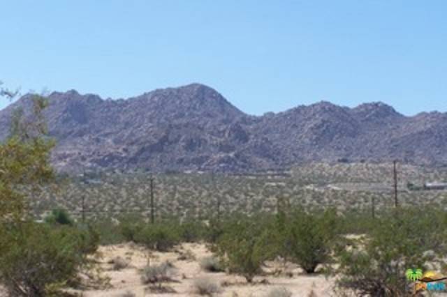 Joshua Tree, CA 92252,0 Chollita 0604-151-19 RD