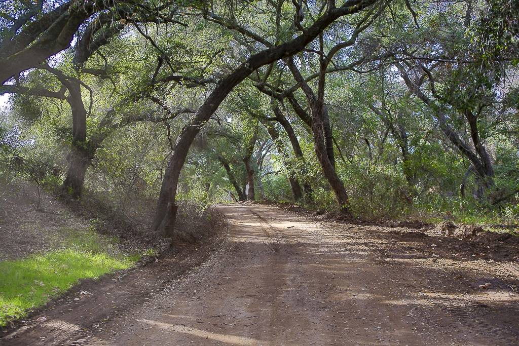 Jamul, CA 91935,18780 Lawson Hills Rd