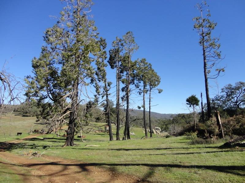 Santa Ysabel, CA 92070,25240 Black Canyon Road