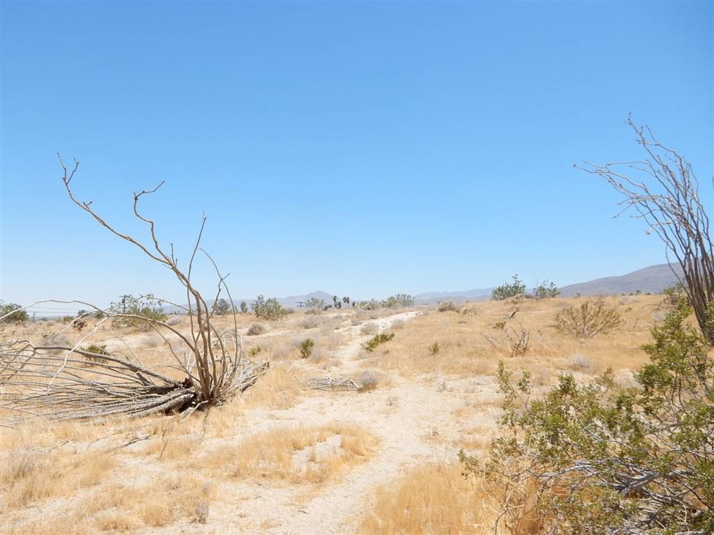 Borrego Springs, CA 92004,3282 Flying H Rd