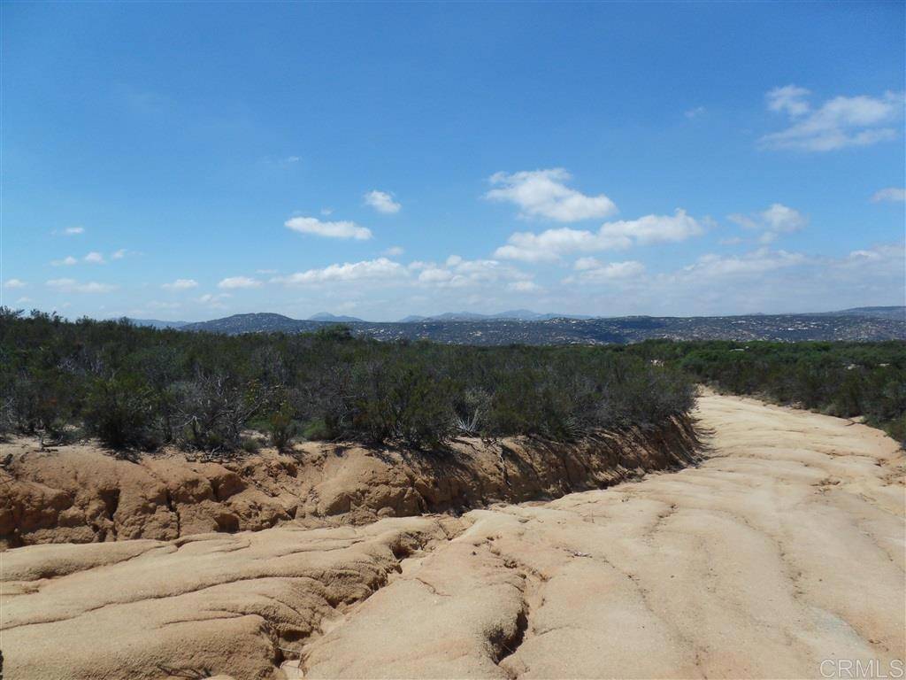 Pine Valley, CA 91962,164 .55 acres La Posta Circle