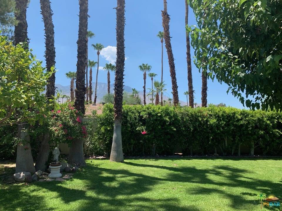 Palm Springs, CA 92264,Address not disclosed