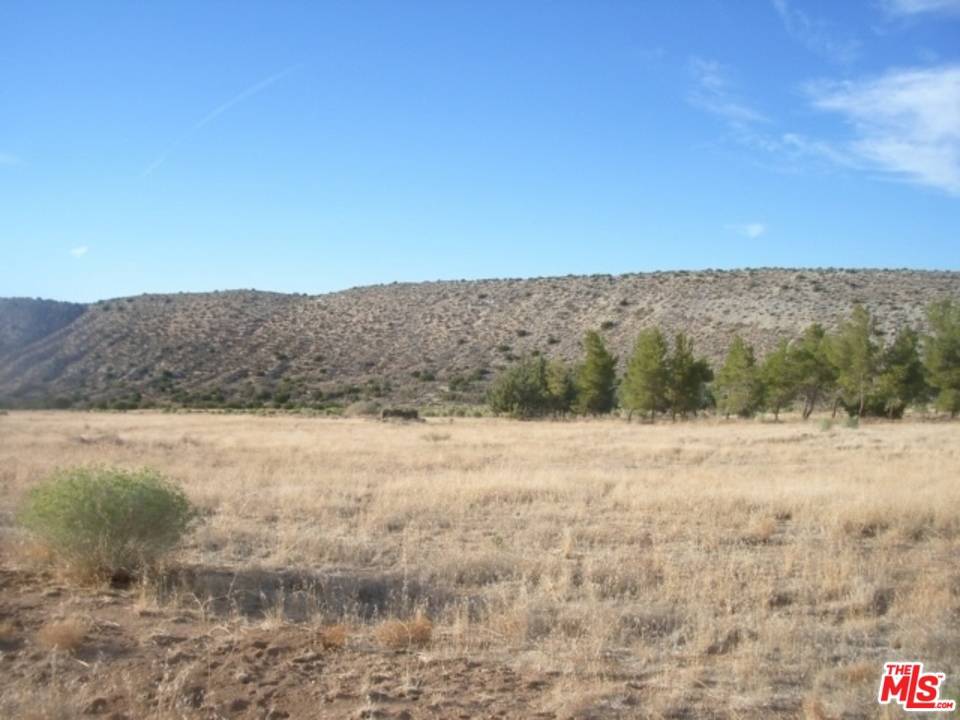 Llano, CA 93544,0 VAC/BOB S GAP RD/175 STE