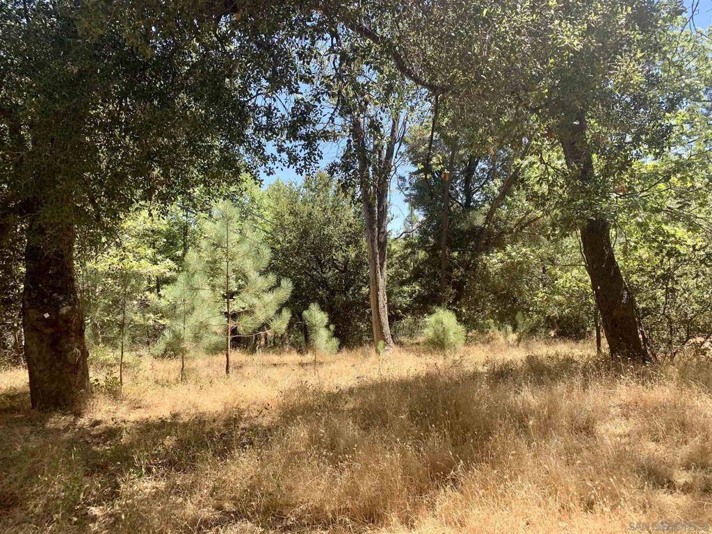 Julian, CA 92036,Blue Jay Dr