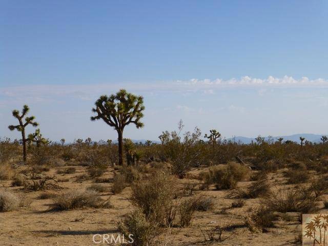 Yucca Valley, CA 92284,0 VALLEY VISTA