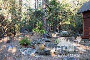 Idyllwild, CA 92549,25435 Scenic DR