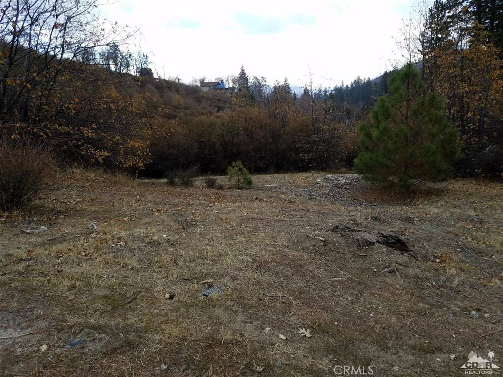 Lake Arrowhead, CA 92321,29596 Pine Ridge DR