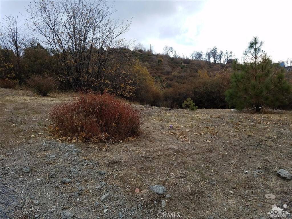 Lake Arrowhead, CA 92321,0 Fir LN