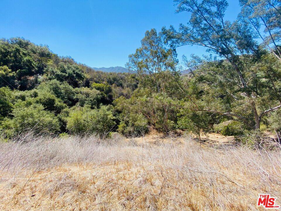 Topanga, CA 90290,28 Topanga Skyline