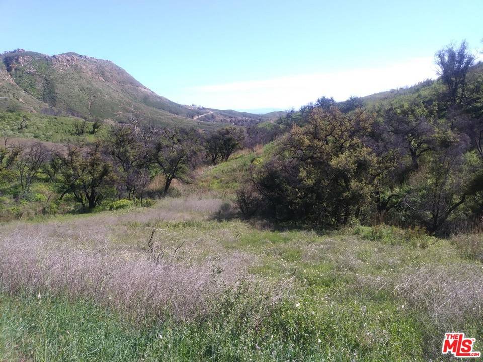 Malibu, CA 90265,2517 Encinal Canyon RD