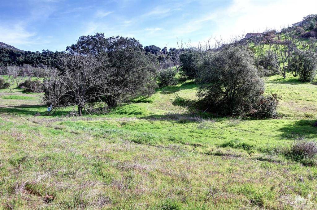 Bonsall, CA 92084,28001 Twin Oaks Valley RD