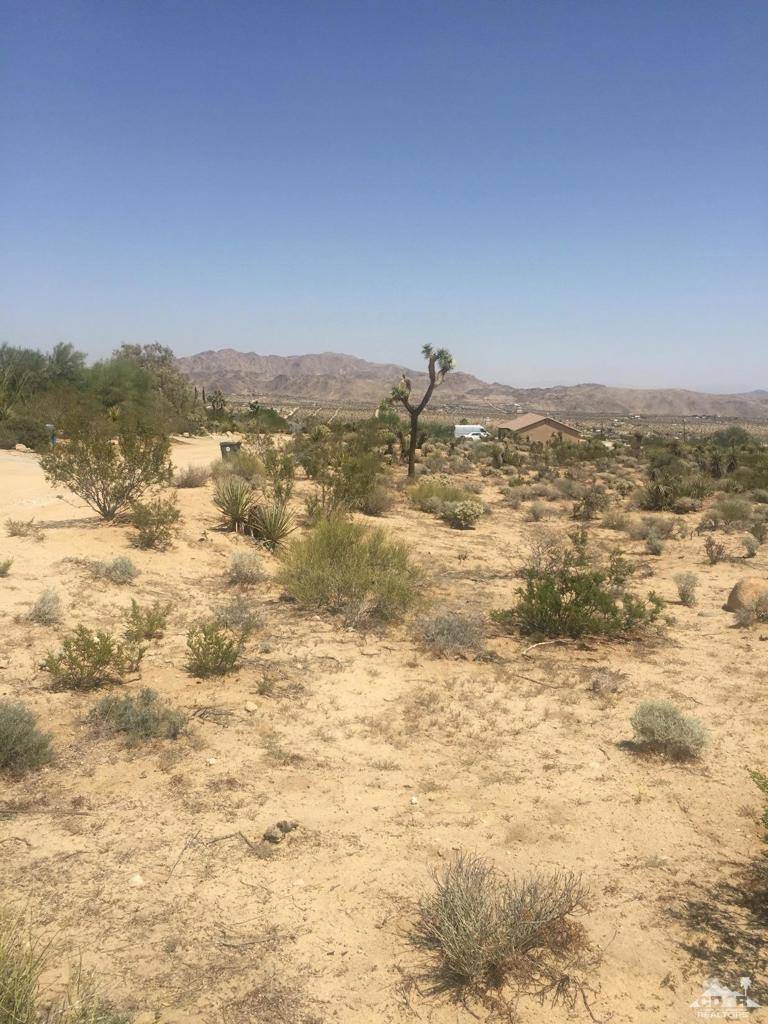 Joshua Tree, CA 92252,0 Alta Loma DR