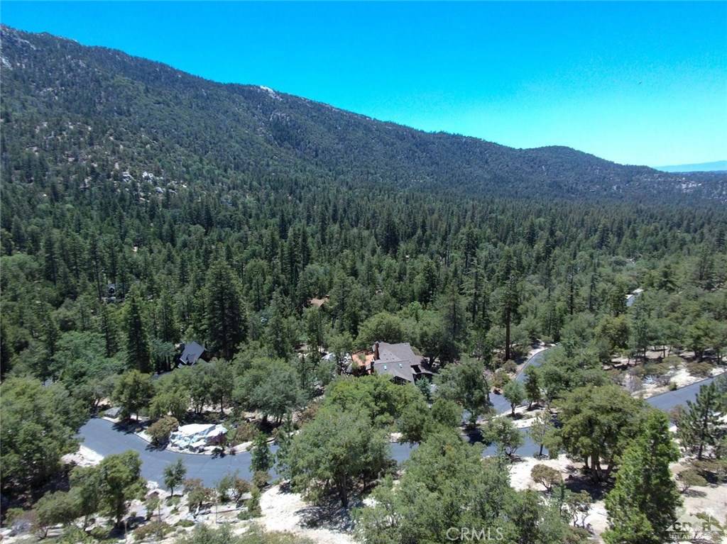 Idyllwild, CA 92549,55160 Forest Haven DR