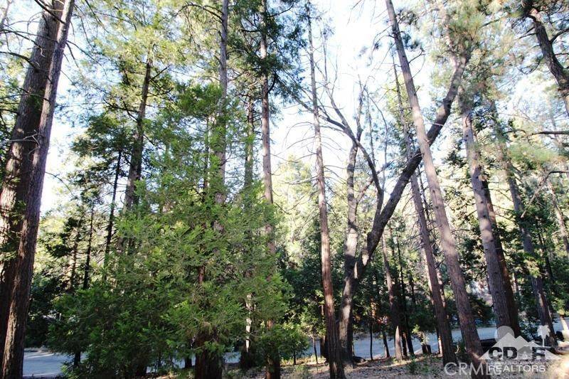 Idyllwild, CA 92549,0 Marian View